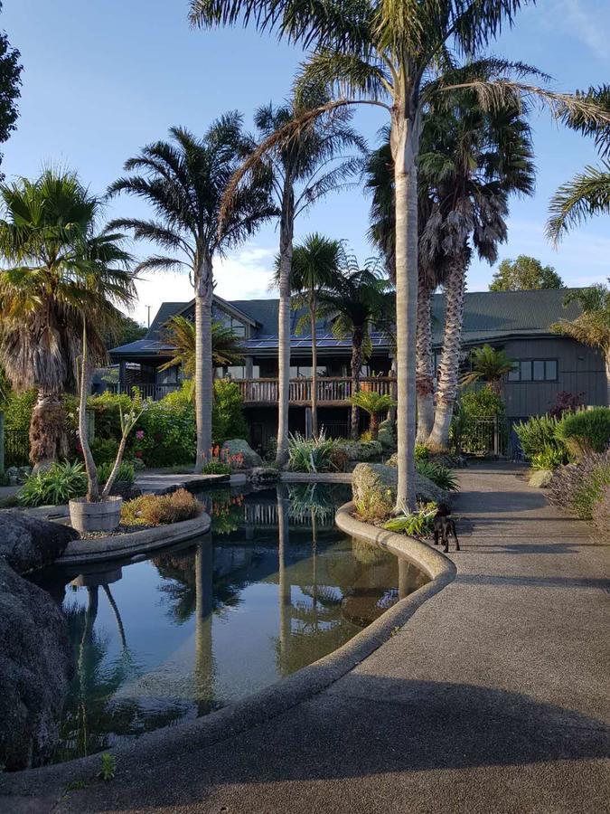 Gemini * Rotorua